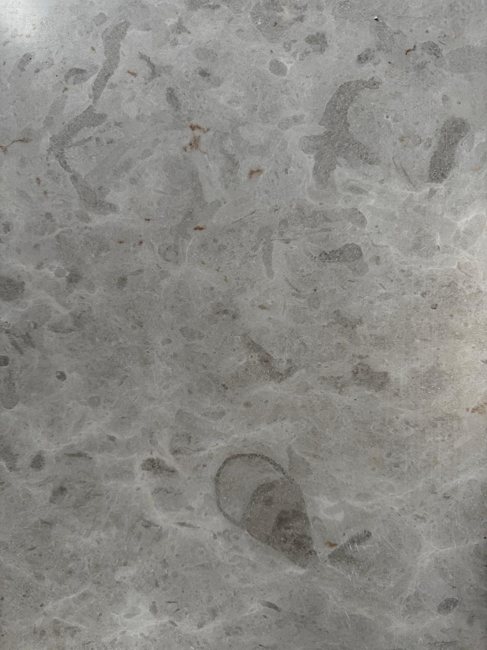 Gohare3 Иранский известняк Gohare Beige Limestone от поставщика Стоко фото №5 из галереи